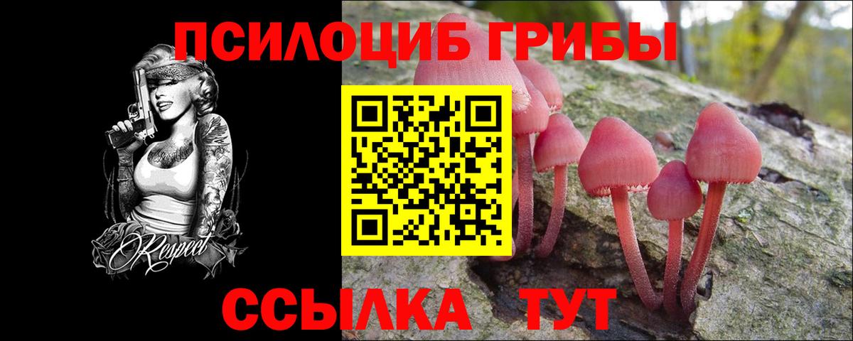 Галлюциногенные грибы мухоморы  Вход с VPN  Тимашёвск  купить наркотик  Галлюциногенные грибы Psilocybe 