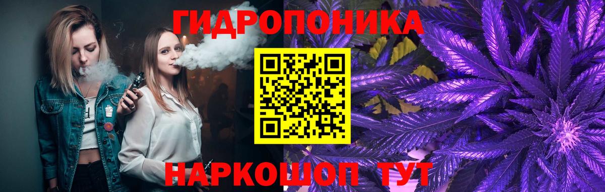 Каннабис план  Вход с VPN  Марихуана White Widow  Шишки марихуана White Widow  Тимашёвск 